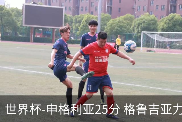 世界杯-申格利亚25分 格鲁吉亚力克委内瑞拉